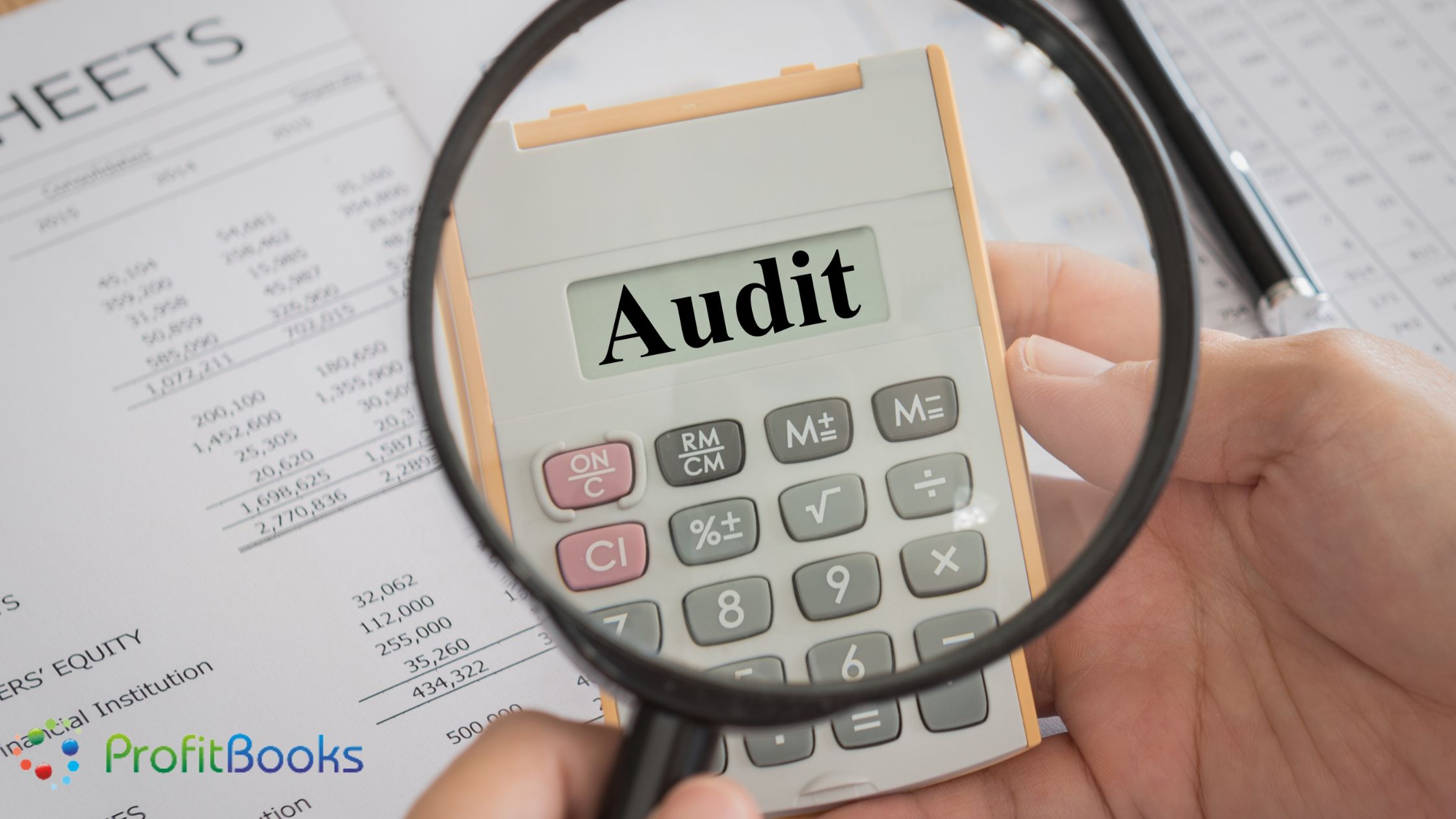 auditing profit and loss