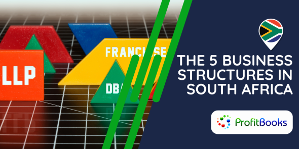The 5 Business Structures In South Africa