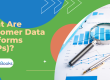 What Are Customer Data Platforms (CDPs)?