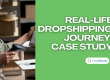 Real-life dropshipping journey case study